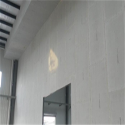 苍梧宁波ALC板|EPS加气板隔墙与混凝土整浇联接的实验研讨